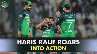 Haris Rauf roars into action | All wickets in ODI series against New Zealand, 2023 | PCB