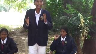 kollo in the dibet sri lanka  - best tolk