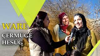 Cinîyê Hesûgî Êdî Debara Dewan Zor A