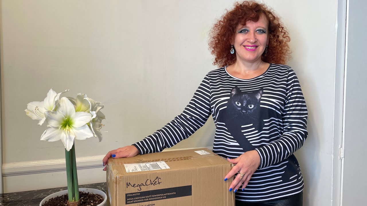 Распаковка. Мясорубка от бренда Megachef. MG-700 1200W Отличная покупка! И мысли про котиков