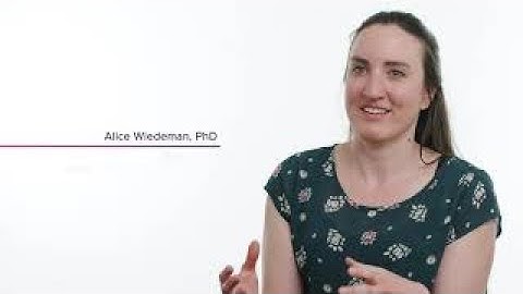 CyTOF® Users at the 8th Annual Mass Cytometry Summit, June, 2019