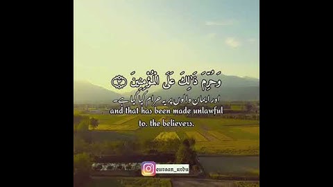 سورة النور: ٢،٣|An Noor: 2,3|أحمد خضر|Ahmed Khedr|قرآن اردو ترجمہ| Quran with Urdu Translation