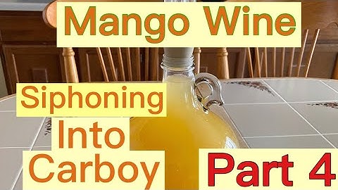 MANGO WINE PART 4 Siphoning Into The Carboy