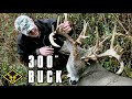 The 300" Buck - #2 All-Time World Record