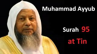 95.  Surah at Tin (Muhammad Ayyub)