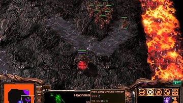 Starcraft 2 - Custom Race Neo Zerg tech demo 46-3