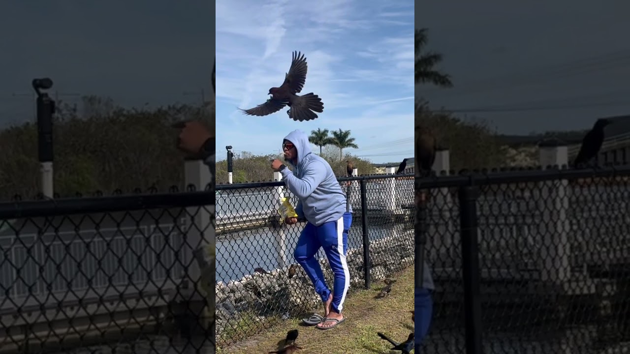 Colazsmithtv  don’t just feed the homeless , he also feeds the animals.