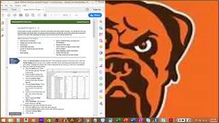 VOIM112: Office Apps - Spreadsheets & Databases (Excel Guided Project 1-3)
