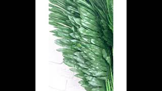 RICKARTIFICIAL - Daun Hias Palem T100cm Hijau Plastik Artificial Tanaman 1Meter Dekorasi Pajangan