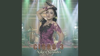 Cidro 3