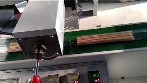 Barbecue Sticks Counting and Packing machine