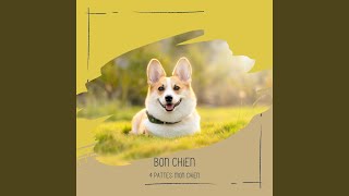 Download Lagu Soft Sounds for Jolly Puppies Download Lagu Soft Sounds for Jolly Puppies