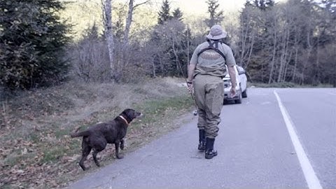 Sustainable forestry & biosolids in the Mountains to Sound Greenway
