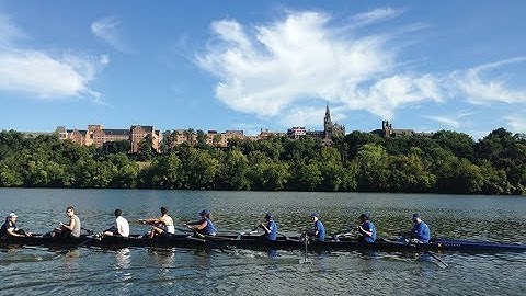 Georgetown’s Custom Programs: The Participant Experience