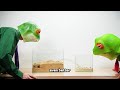 End of video