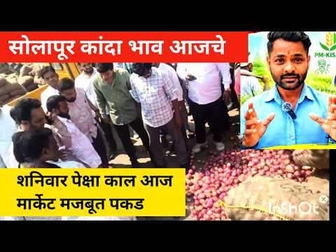 सोलापूर कांदा भाव आजचे / solapur onion market