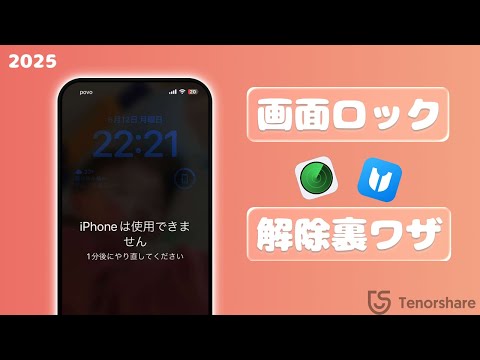 ア*ン様 iPhone12 Pro Max 256GB 備品 初期化 ロック解除 iPhoneロック解除
