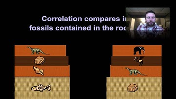 Geologic History 2 Correlating Rock Layers