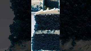 BLUE VELVET RECIPE ATTACHED shorts