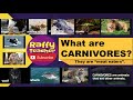 What are carnivores  raffyteacher