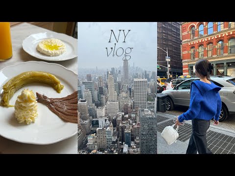 <strong>NY</strong> VLOG. <strong>뉴욕</strong> 간다🗽 isfp의 정처없는 <strong>뉴욕</strong> 여행 브이로그, <strong>뉴욕</strong> 미드타운에서 점심 Lodi nyc, 이스트빌리지 갠춘한 카페, 그리고 <strong>뉴욕</strong> 패션위크! w.COS