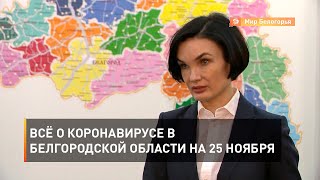 Всё о коронавирусе в Белгородской области на 25 ноября