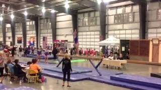 Becky Rozsa-State 2014 Beam (9.5)