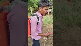 जर्मिनेशन के बाद स्प्रे करते हुए 🌾🌾