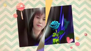 Vivi novita 703. Zuo ye xin Chen