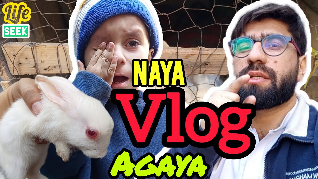 A Real Day in My Life | Daily Vlog | Simple Routine & Real Moments # ...