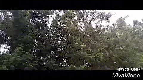 O que era na verdade o elmo de mambrino?