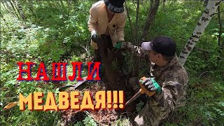 НАРВАЛИСЬ НА МЕДВЕДЯ!!! В СОВЕТСКОЕ ВРЕМЯ ЗДЕСЬ РУБИЛИ ЛЕС!!! А мы Копаем металл!!! 