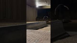 Boardslide in Phoenix by Dale Bonnell | Ritual Skateboards