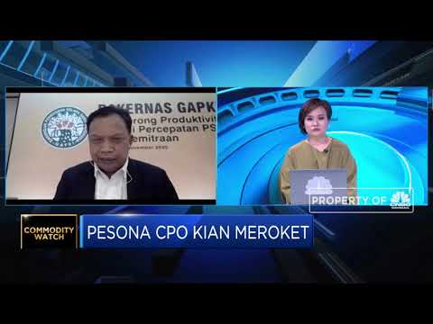 Permintaan Naik & Produksi Turun, Harga CPO Dalam Tren Bullish