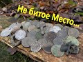 Нашел много монет!!! Found a lot of coins.