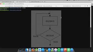 Celebrity 4.3 Free Pascal Tutorial - Repeat Until Profile