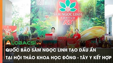Quốc bảo Sâm Ngọc Linh tạo dấu ấn tại Hội thảo khoa học Đông - Tây y kết hợp | Video AloBacsi