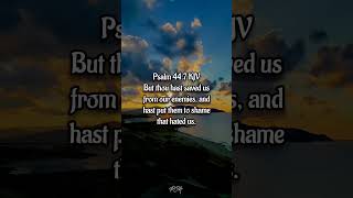 daily bible verse #dailybibleverse #christianfaith #spiritualgrowth #dailydevotion