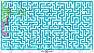 Can You Find the Hidden Path Before Time Runs Out? 🧠 Multi-Solution Animated Puzzle Challenge