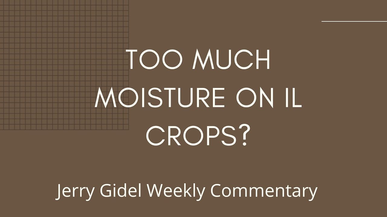 What is Coming at the New USDA's WASDE Report?