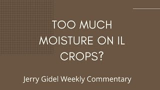 What is Coming at the New USDA's WASDE Report?