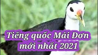 Tiếng Quốc Mái Đơn Hiệu Quả 100%