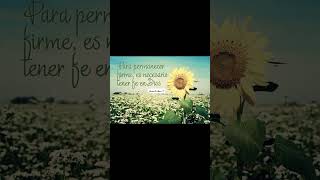Solo Dios basta #diostebendiga #diosesmicasa #frases #diosesfiel #eldiosdeloimposible #amor