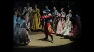 Video thumbnail of "Ballet folklorico Nacional PERICON Y MALAMBO T COLON"