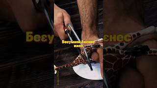 Безумная, Простая, Но Гениальная Бизнес Идея.