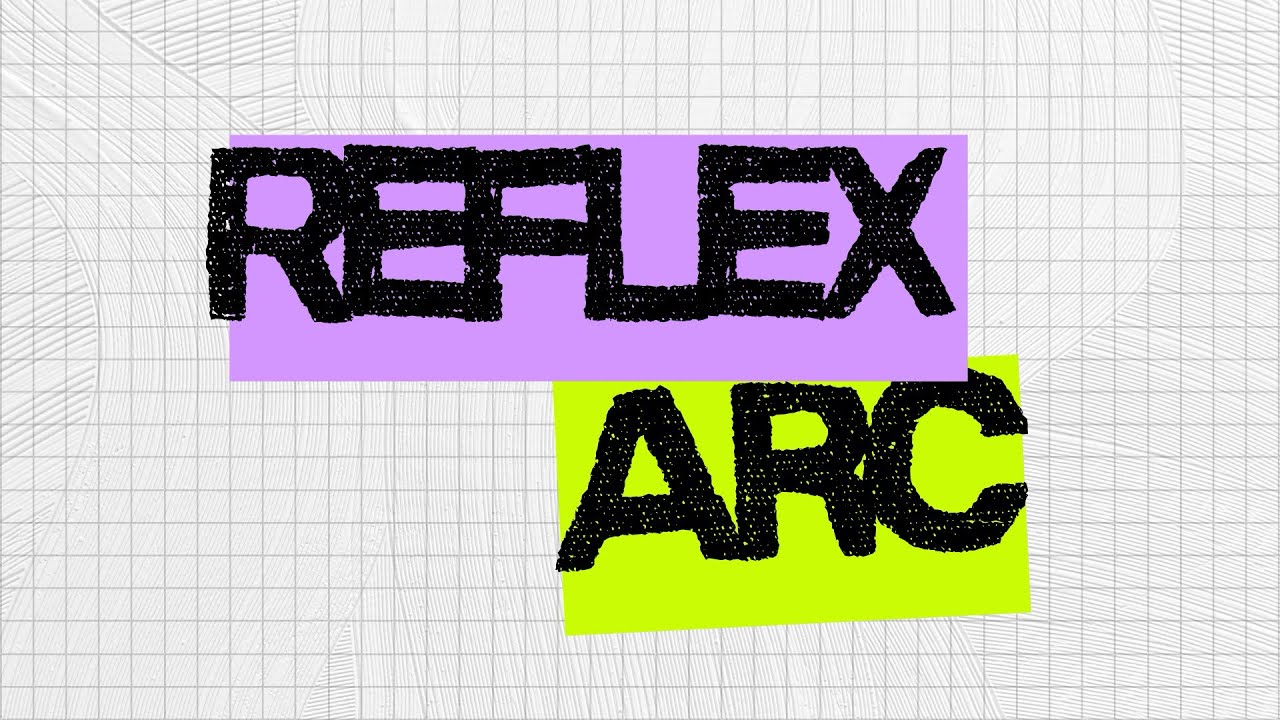 The Reflex Arc Explained Step-by-Step (A&P I Nervous System) - YouTube