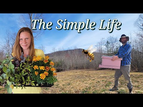 Building A Simple Life Off Grid in Tennessee - YouTube