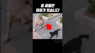 이 싸움은 의미가 있습니�...
