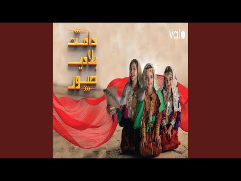 دامت بلادي صور