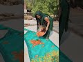 #funny #comedy #bannibannageet #song #dance #songitsbanna #dehatigeet  #ekmotahathighumechala